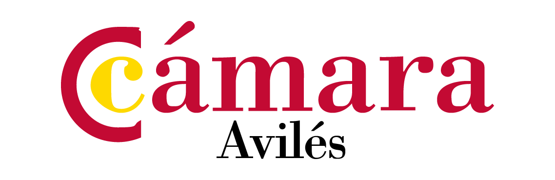 CAMARA COMERCIO AVIL心 color 02.2